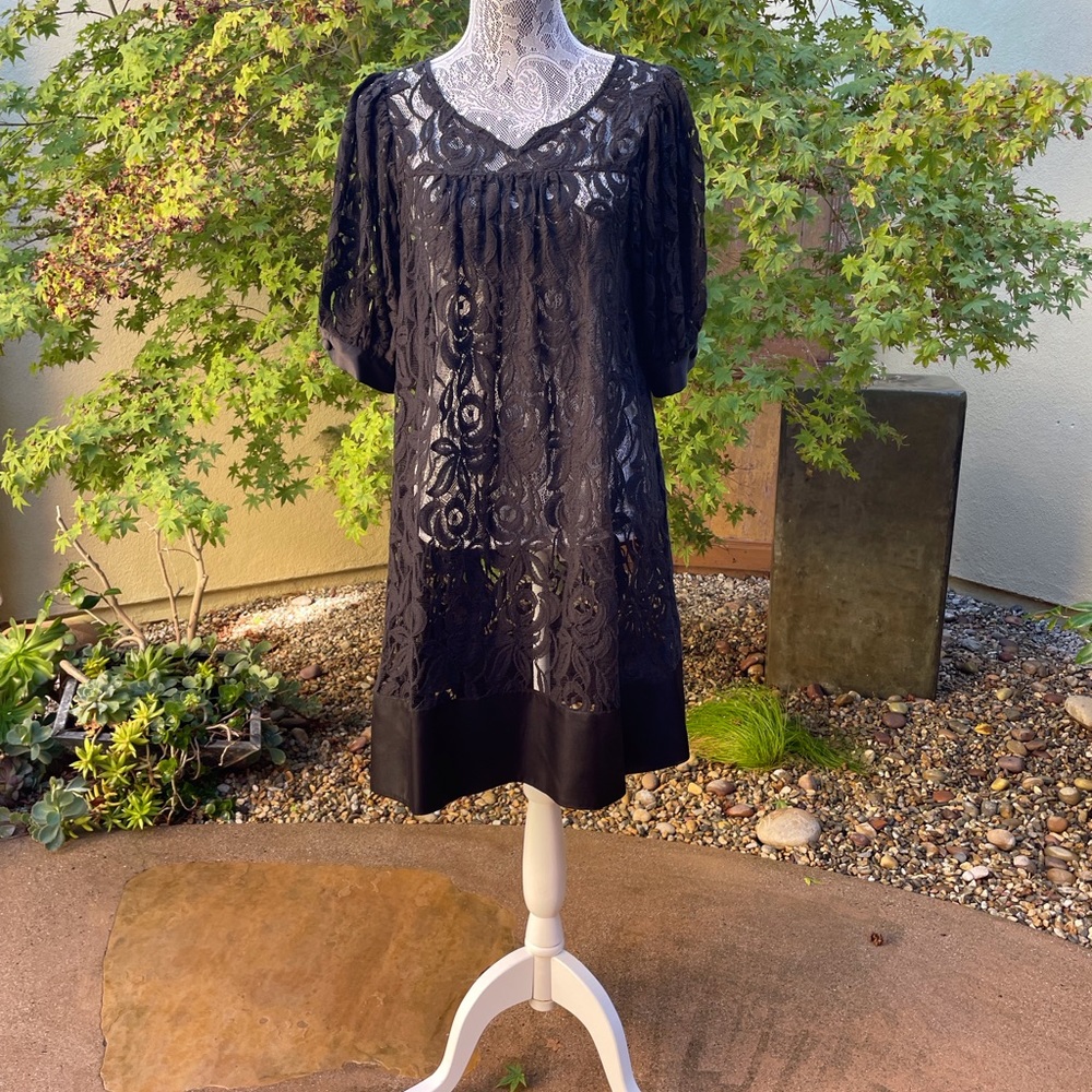 Sheer Lace Shift Dress (missing slip)